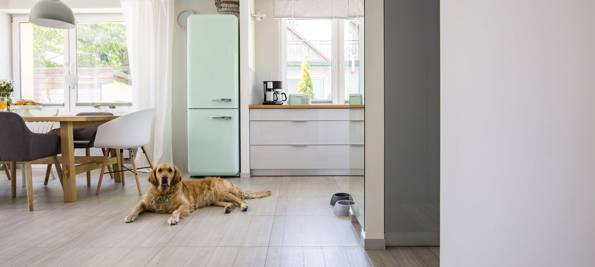 A golden retriever lying calmly on a kitchen floor beside its food bowls in a bright open plan home