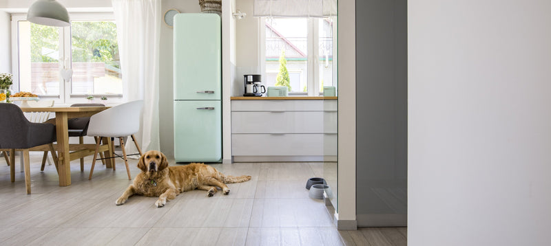 A golden retriever lying calmly on a kitchen floor beside its food bowls in a bright open plan home