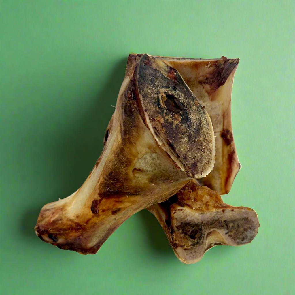 Cut beef marrow bones showing the hollow marrow centre, laid flat