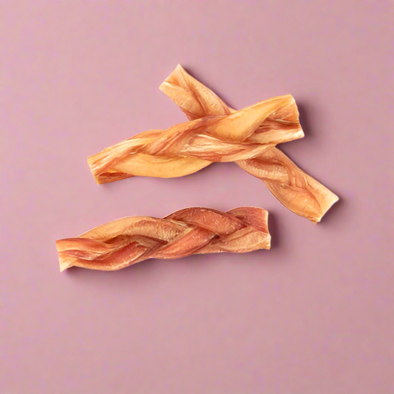 Plaited lengths of dried pizzle, laid flat