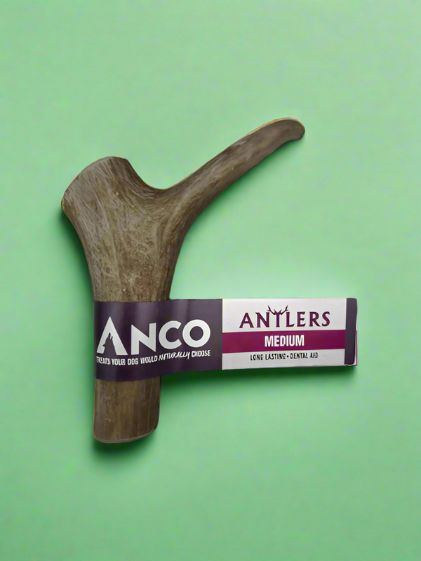 A medium deer antler, tan and grooved, with a paper sleeve around the middle