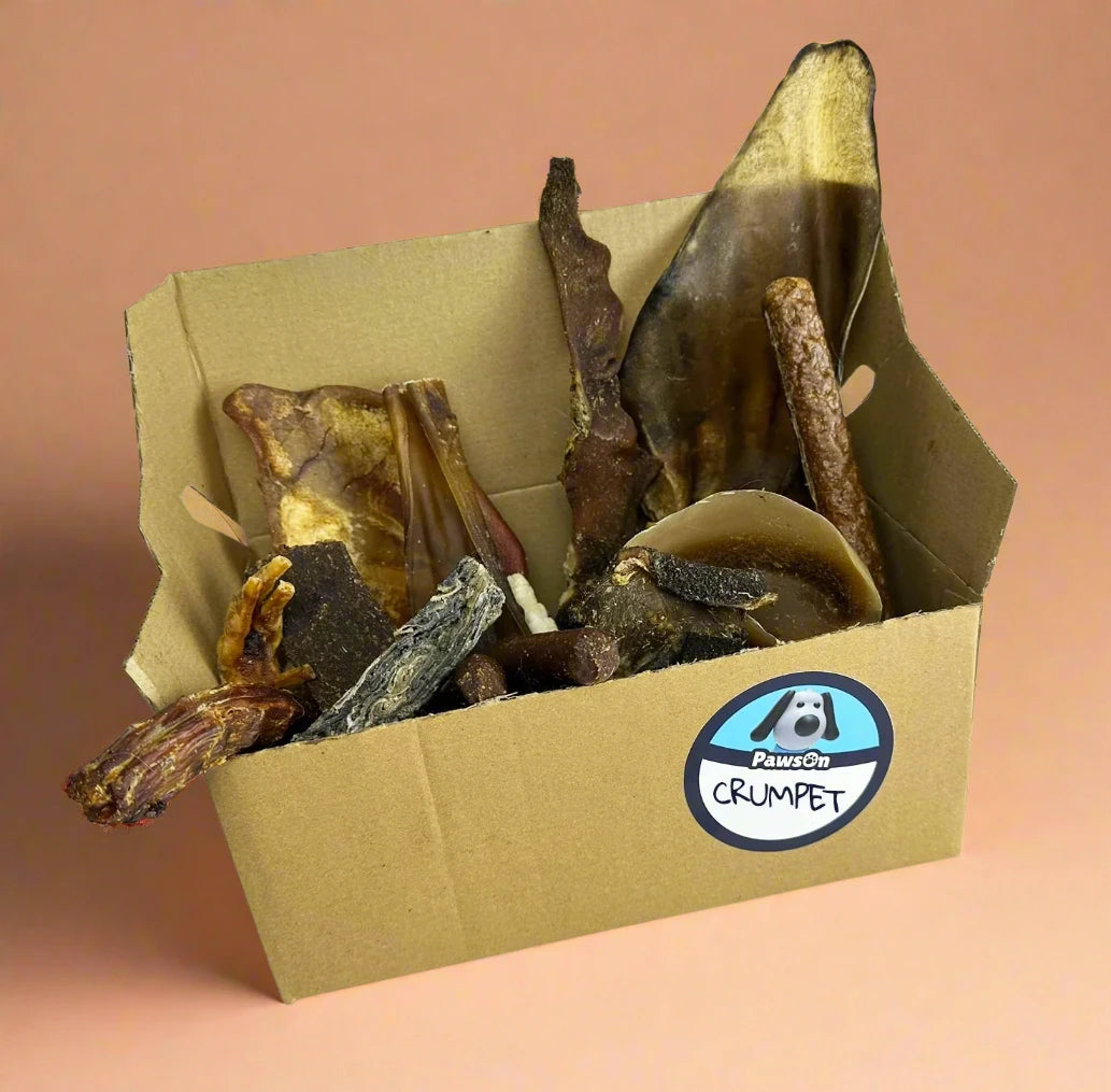 A PawsOn cardboard treat box packed with everyday natural chews