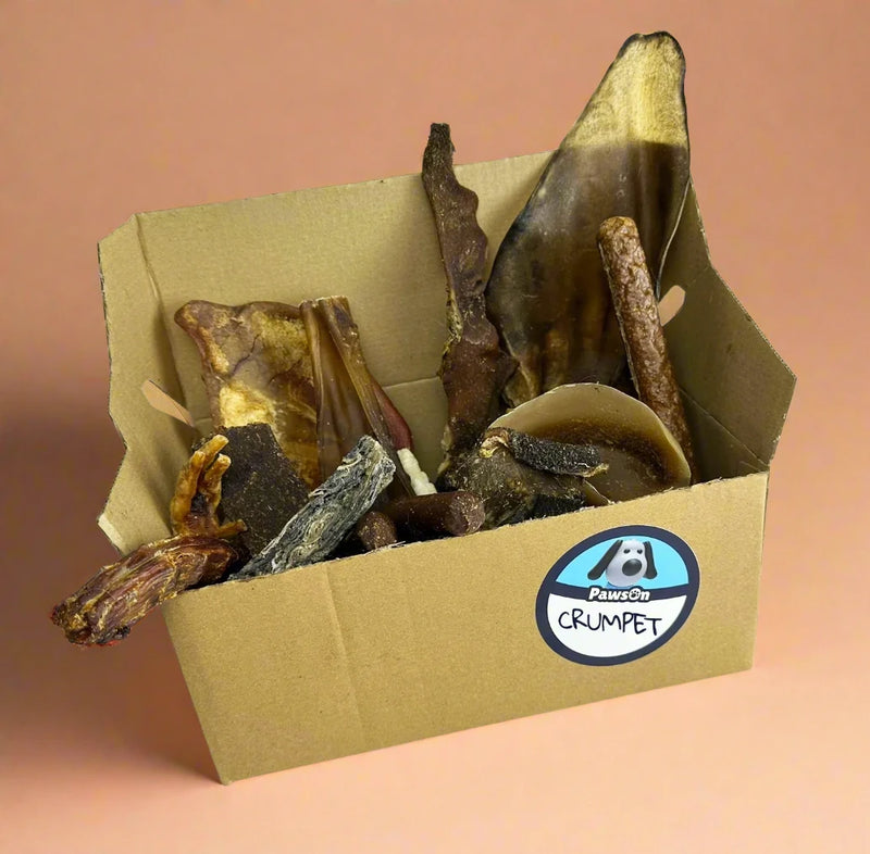 A PawsOn cardboard treat box packed with everyday natural chews
