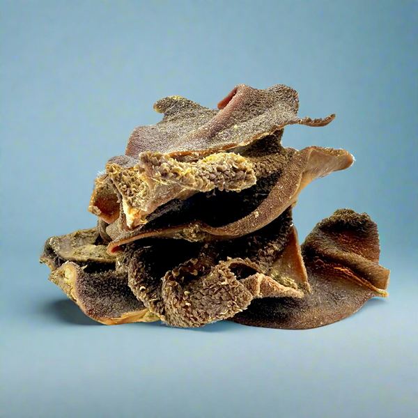 Dried pieces of lamb tripe, laid flat
