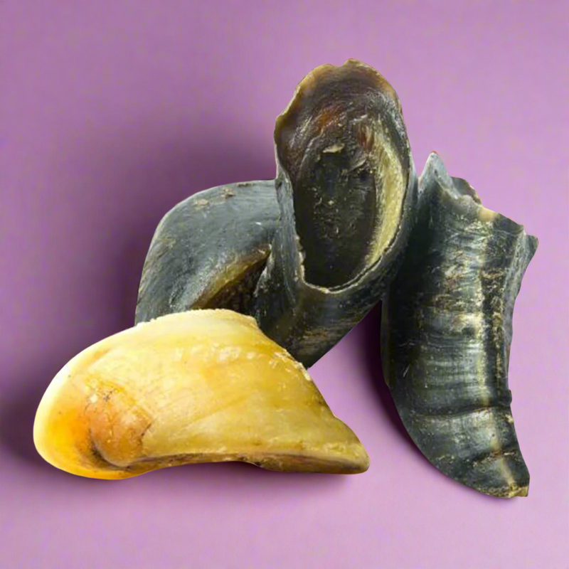 Hollow dried cow hooves, laid flat