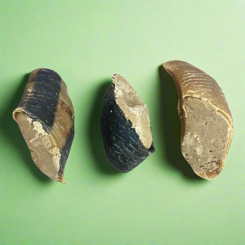 Dried cow hooves packed with a meaty filling, laid flat