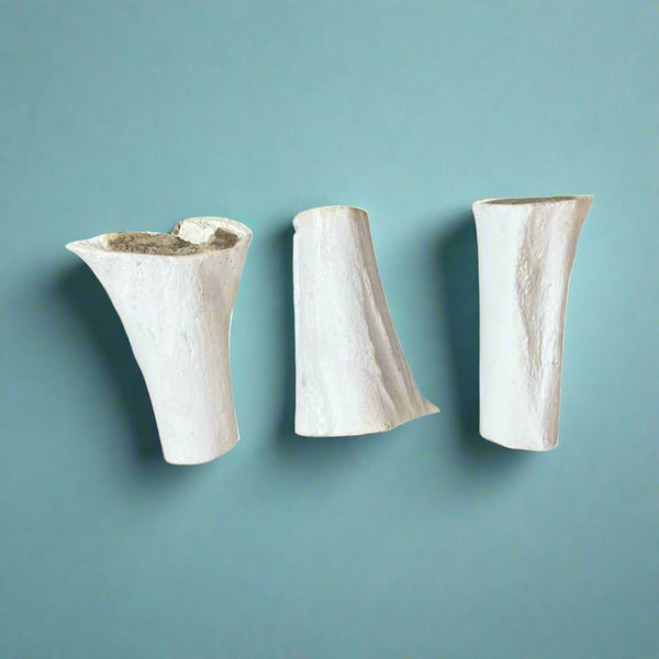 Sterilised beef bones with a meaty paste filling, laid flat