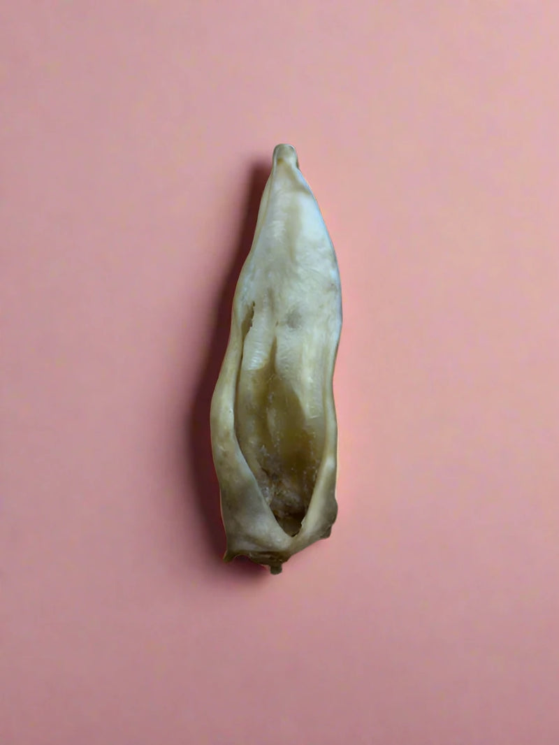 Dried goat ears with the hair removed, laid flat