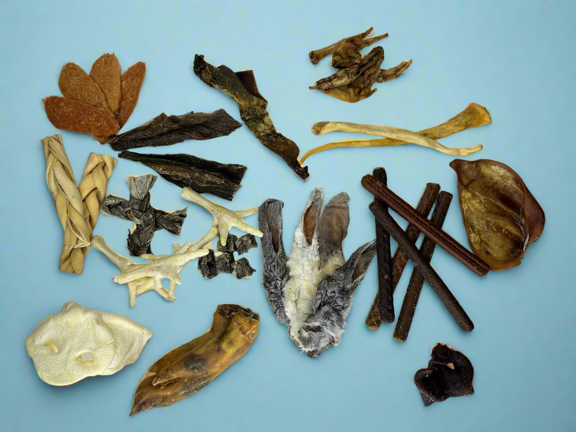 A PawsOn cardboard treat box packed with small dog chews, shown from another angle