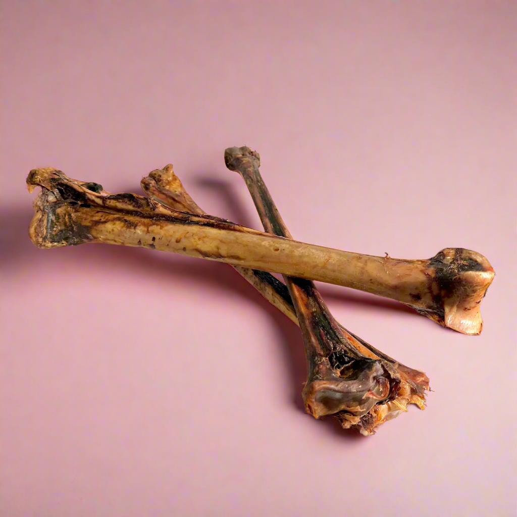A long ostrich bone, laid flat