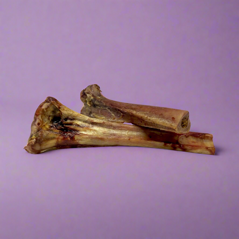 A medium ostrich bone, laid flat