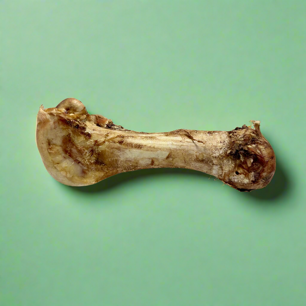 Ostrich Bones - Jumbo