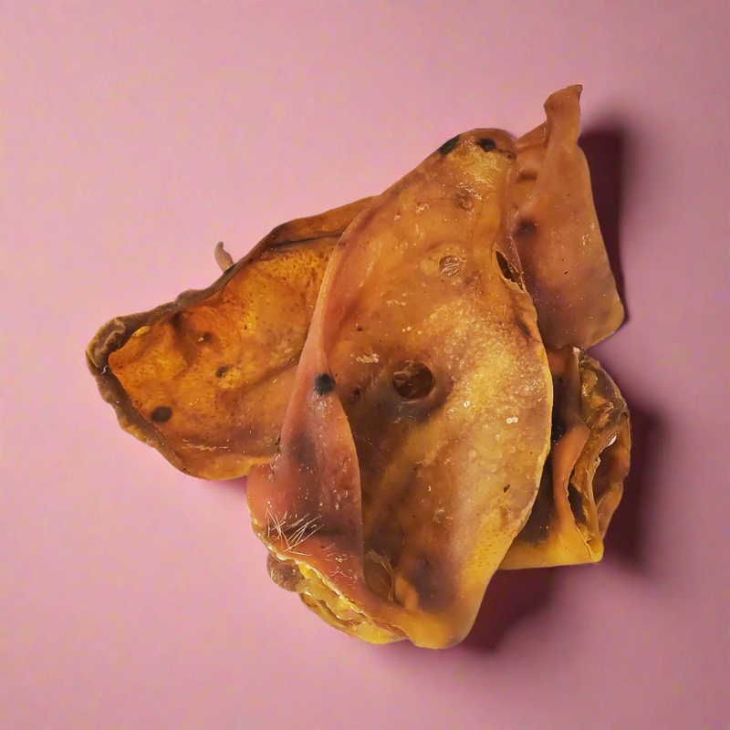 Whole dried pig ears, laid flat