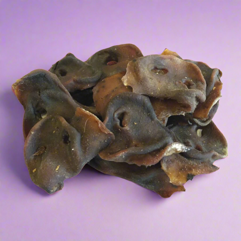 Dried natural pig snouts, laid flat