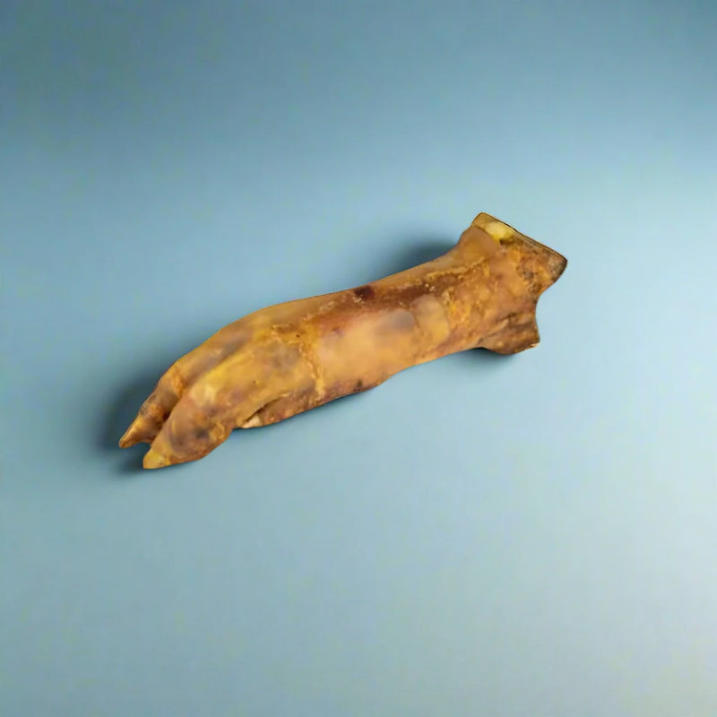 Whole dried pig trotters, laid flat