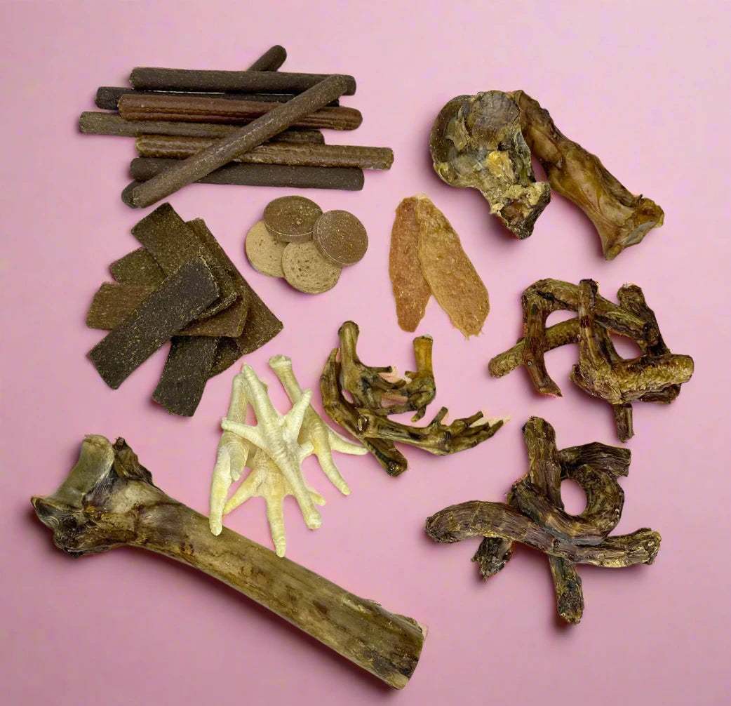 A PawsOn cardboard treat box packed with poultry chews, shown from another angle