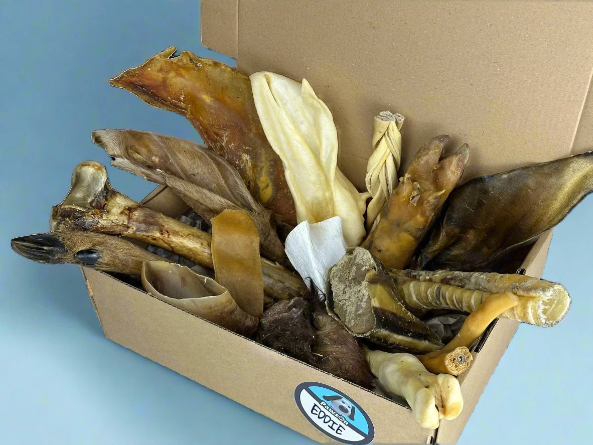 A PawsOn cardboard treat box packed with large hard wearing chews