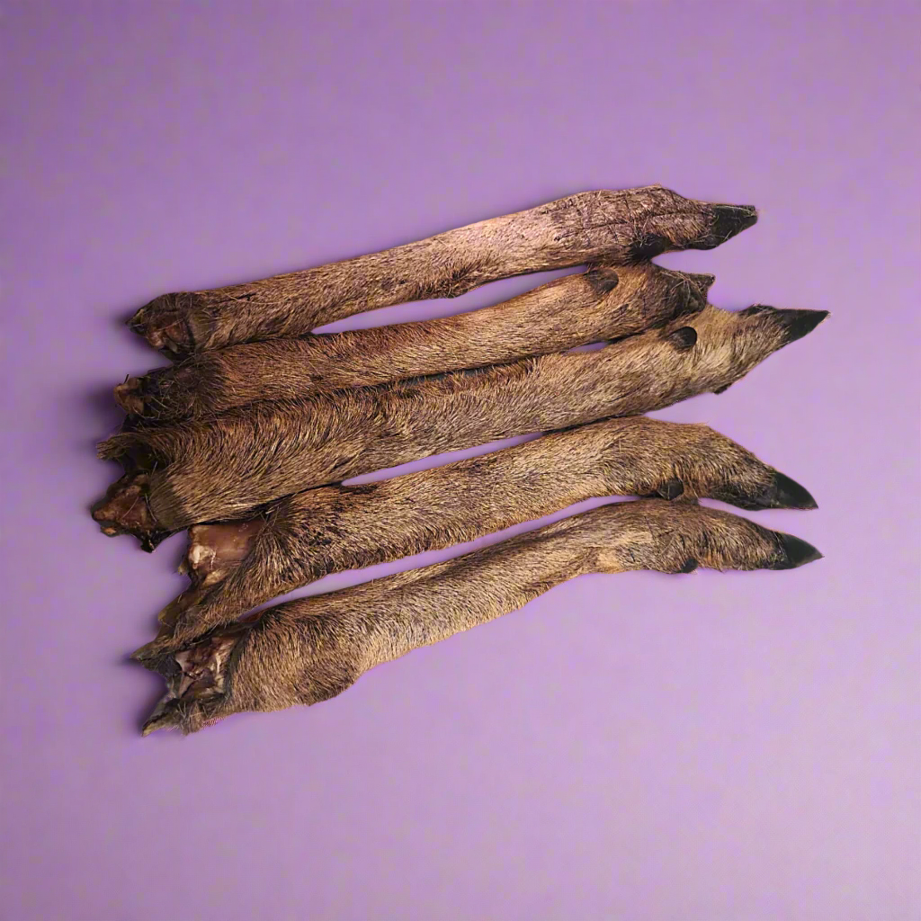 A large dried venison leg with the fur still on, laid flat
