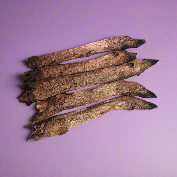 A large dried venison leg with the fur still on, laid flat