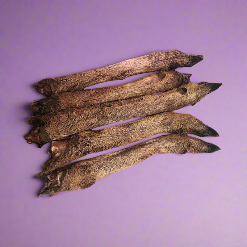 Venison (Deer) Legs - with fur/hair