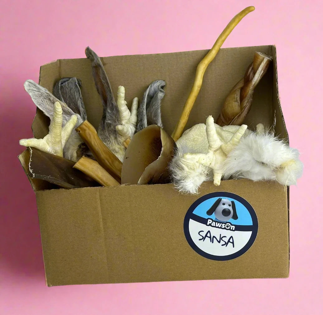 A PawsOn cardboard treat box packed with low smell natural chews