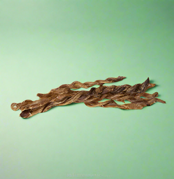 Twisted lengths of dried lamb pizzle, laid flat
