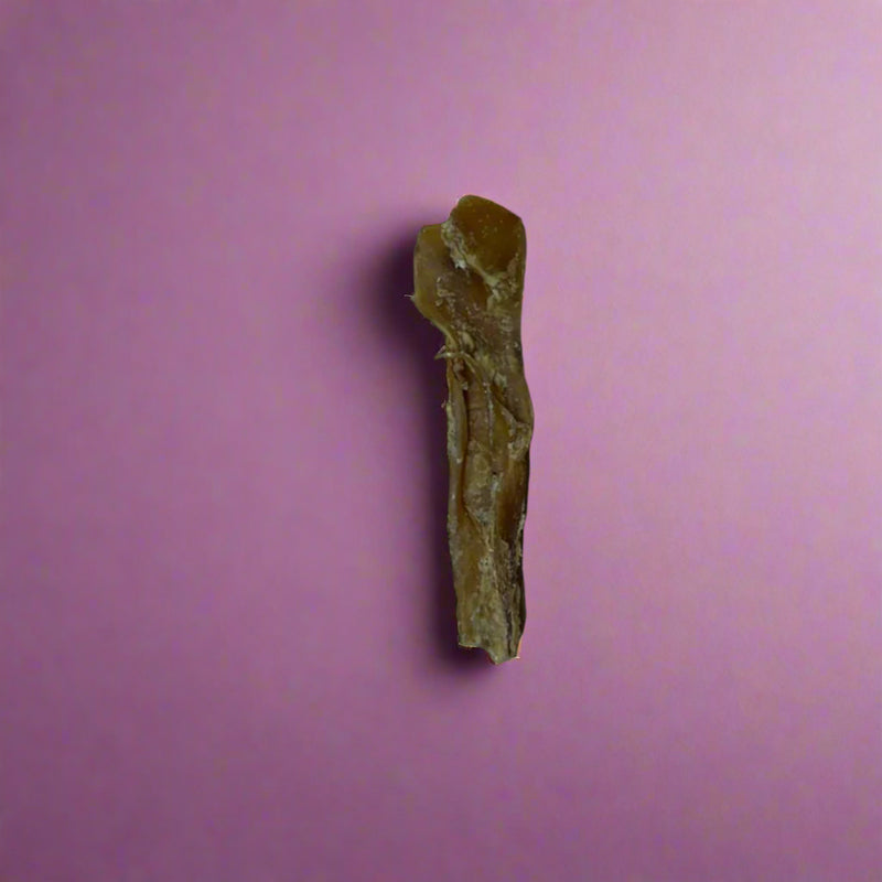 Short sticks of dried beef muscle, laid flat
