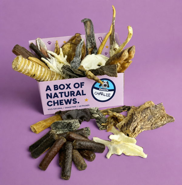A PawsOn cardboard treat box packed with puppy sized natural chews