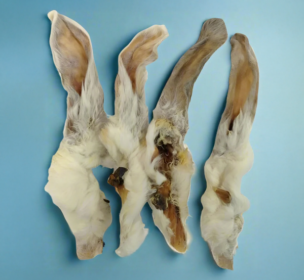 Whole dried rabbit ears with the pale fur still attached, laid flat